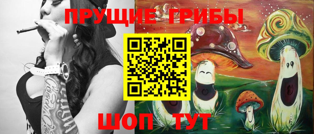Галлюциногенные грибы Psilocybe Белово